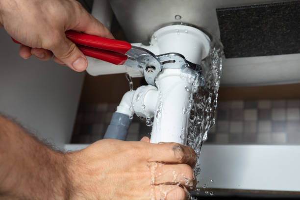 Best Mold removal after water damage  in Sheffield, OH