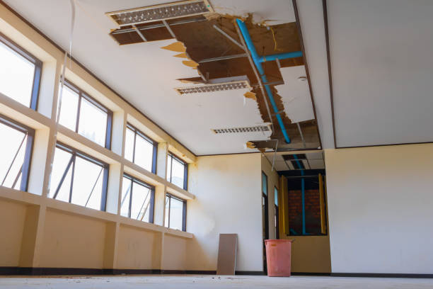 Best Water damage restoration near me  in Sheffield, OH