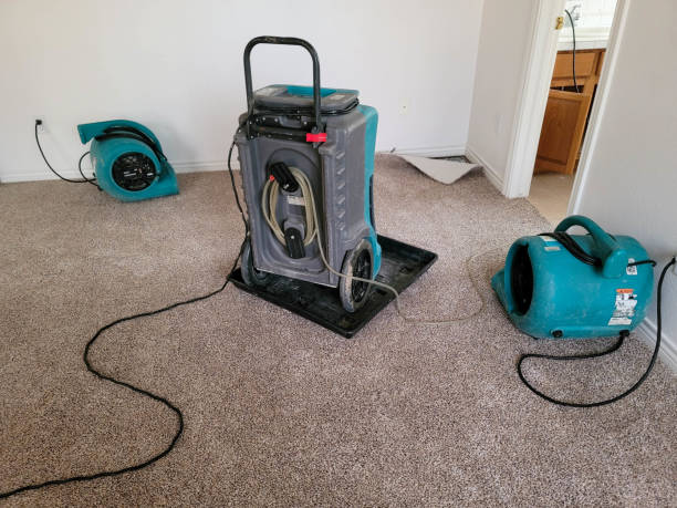Best Water damage contractors near me  in Sheffield, OH