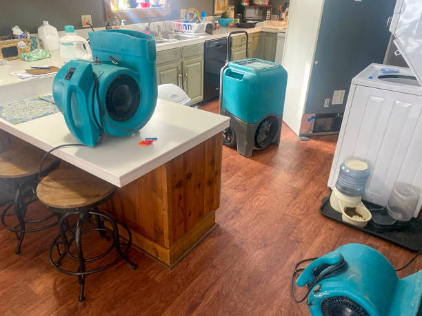Best Sewage cleanup and water damage restoration  in Sheffield, OH
