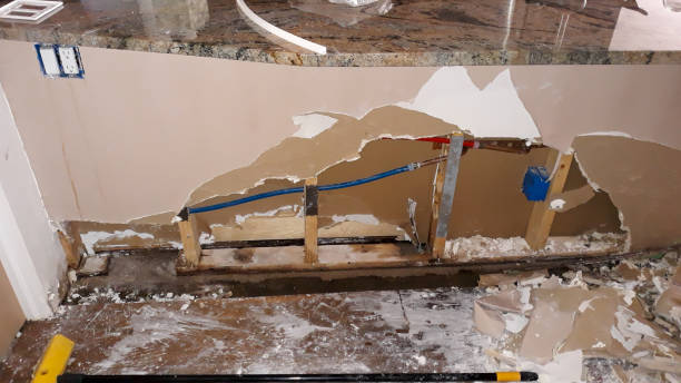 Best Carpet water damage restoration  in Sheffield, OH