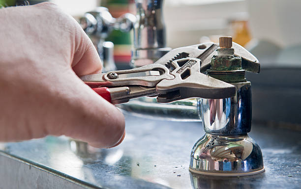 Best Local water damage restoration  in Sheffield, OH