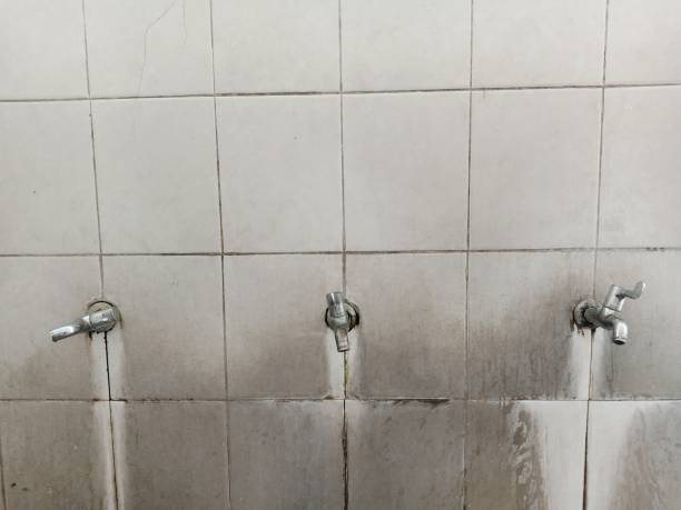 Best Flood restoration services  in Sheffield, OH