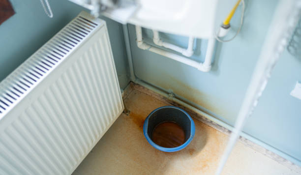 Best Water damage restoration near me  in Sheffield, OH